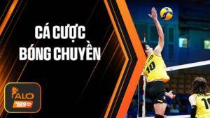 Cá cược bóng chuyền online tại Thể Thao ALO789