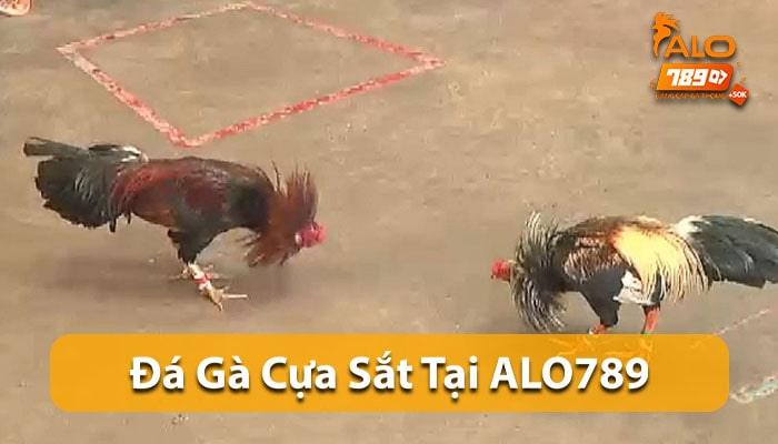 Đá Gà Cựa Sắt là hình thức đá gà được yêu thích nhất tại ALO789 Đá Gà Cựa Sắt là hình thức đá gà được yêu thích nhất tại ALO789