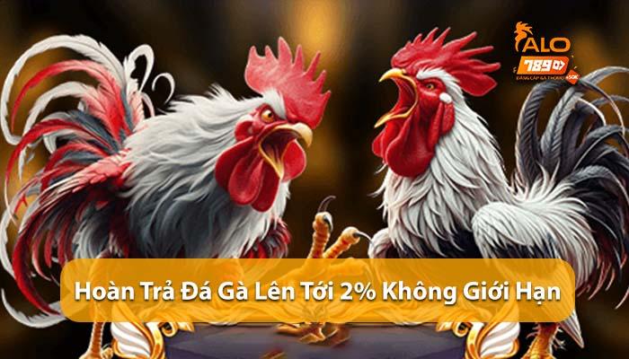 Hoàn Trả Đá Gà ALO789 - tặng thưởng không giới hạn lên tới 2%