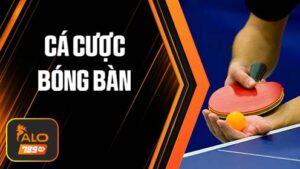 Cá cược bóng bàn tại Thể Thao ALO789